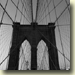 nyc082
