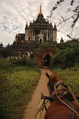 bagan06