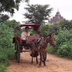 bagan11