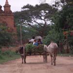 bagan17