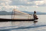 inle31