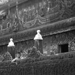 monks49