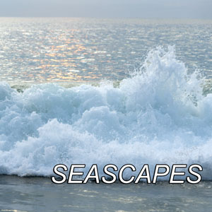 Seascapes