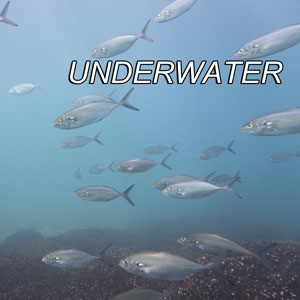 Underwater