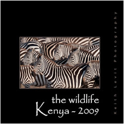 The Wildlife Kenya 2009