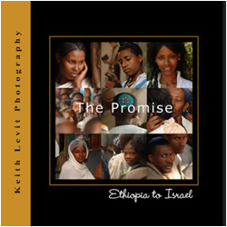 The Promise