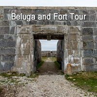 Beluga and Fort Tour