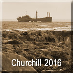 Churchill 2016