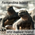 Fernandina Island and Isabela Island