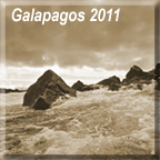Galapagos 2011