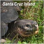 Santa Cruz Island