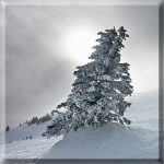 Skiing at Sunpeaks 2019