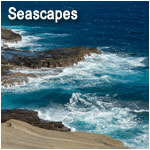 Seascapes