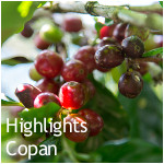 Highlights - Copan