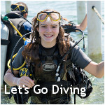 Let's Go Diving