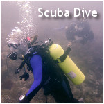 Scuba Dive