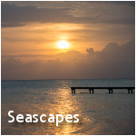 Seascapes