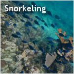 Snorkeling