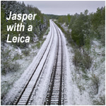 Jasper with a Leica
