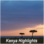 Kenya Highlights