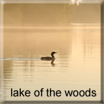 Lake of the Woods