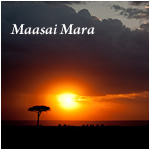 Maasai Mara - Landscapes
