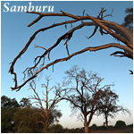 Sambura - Landscapes
