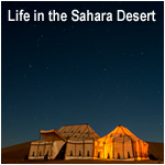 Life in the Sahara Desert