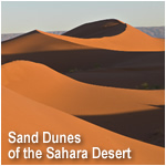 Sand Dunes of the Sahara Desert