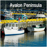 Avalon Peninsula