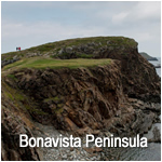 Bonavista Peninsula