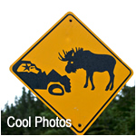 Cool Photos in Gros Morne National Park