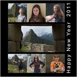 Happy New Year 2011 the Levit Family