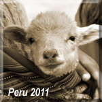 Peru 2011