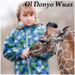 Ol Donyo Wuas - Safari