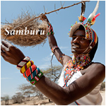 Sambura - Safari