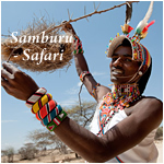 Sambura - Safari
