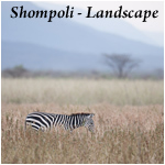 Shompoli - Landscape