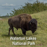 Waterton Lake National Park