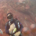 Galapagos Underwater with LIQUID IMAGE goggles