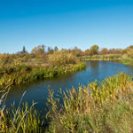 Autumn Views around the Hecla Lakeview Resort