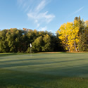 In Love with Golfing in the Fall