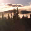 Jasper National Park - Alberta, Canada