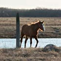 Manitoba Scenics - Going to and from Hecla