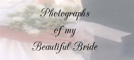 Bridal Portraits