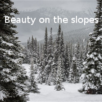 Beauty on the slopes