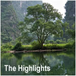 The Highlights