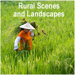 Rural Scenes and Landscapes