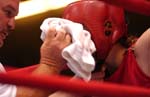 boxing14